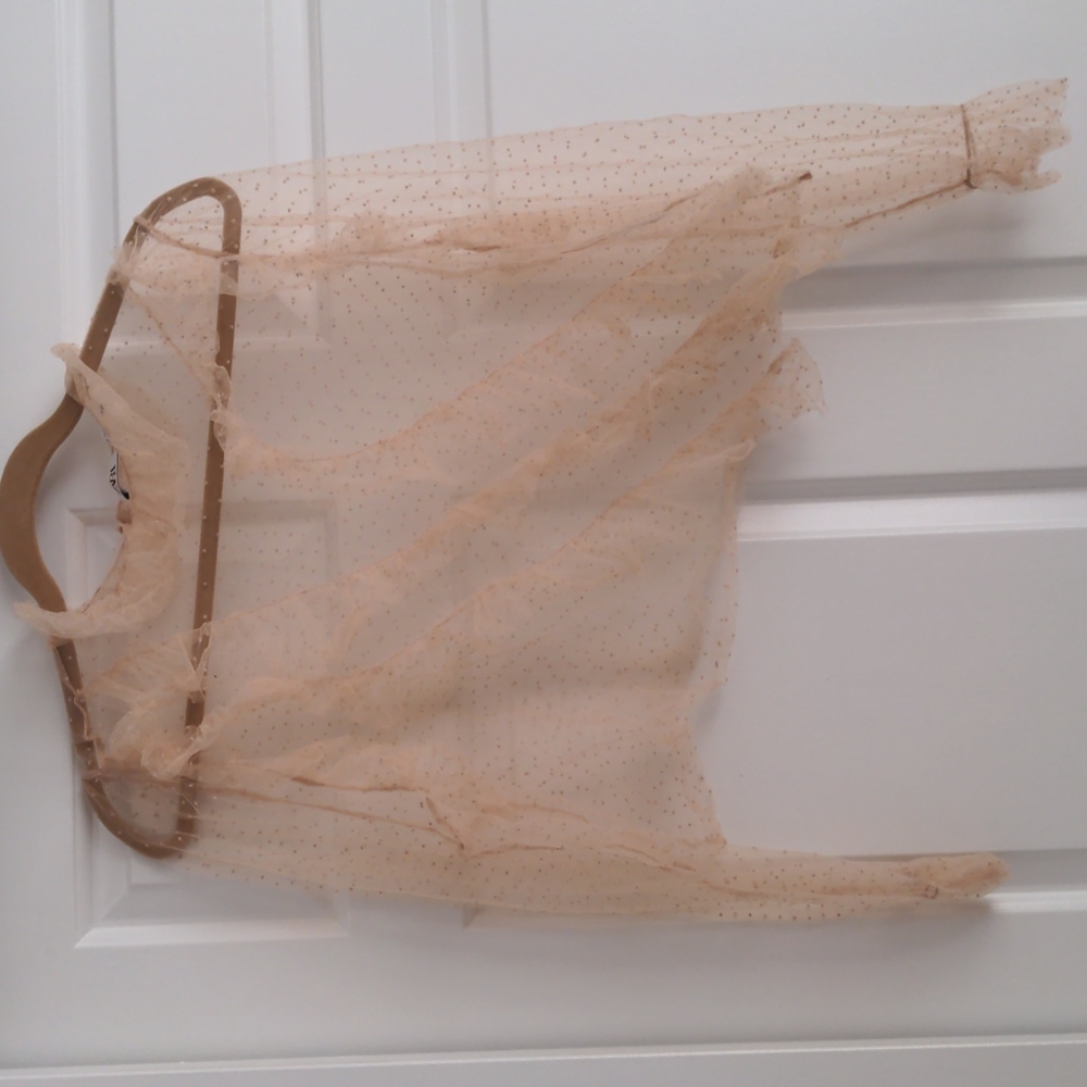 Zara tulle top